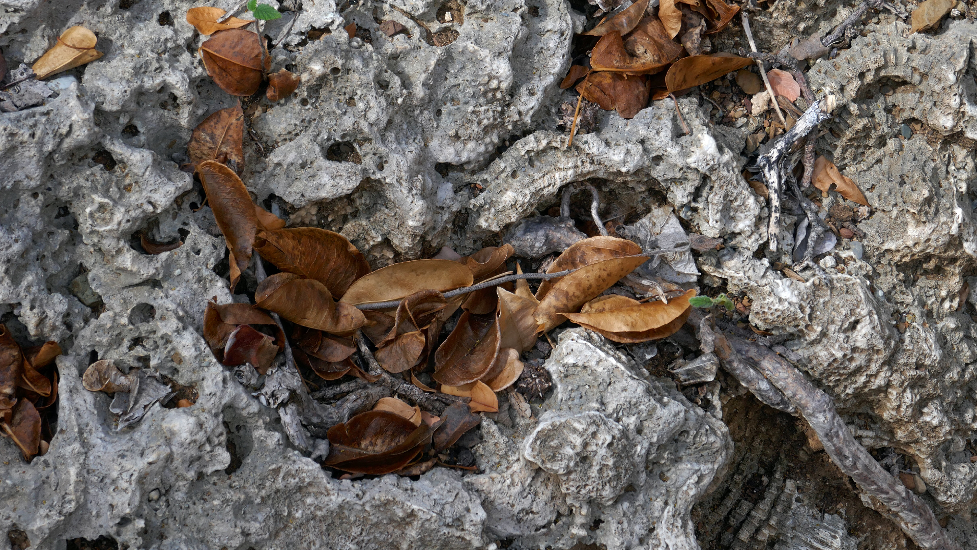 2022-04-22 Blaue Kammer (Foto)