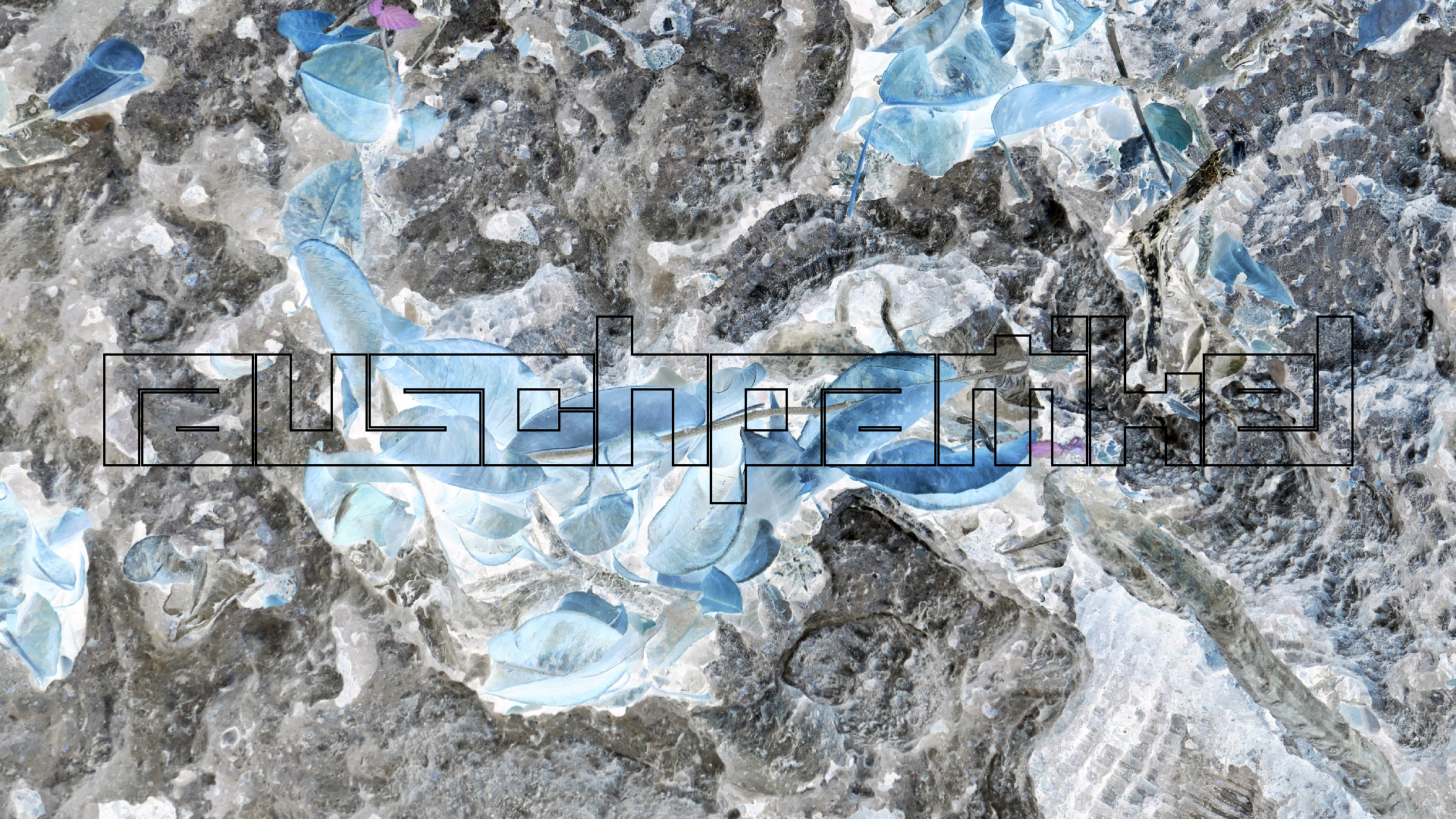 2022-04-22 Blaue Kammer (Foto)