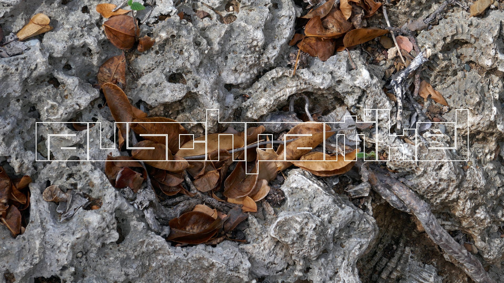 2022-04-22 Blaue Kammer (Foto)