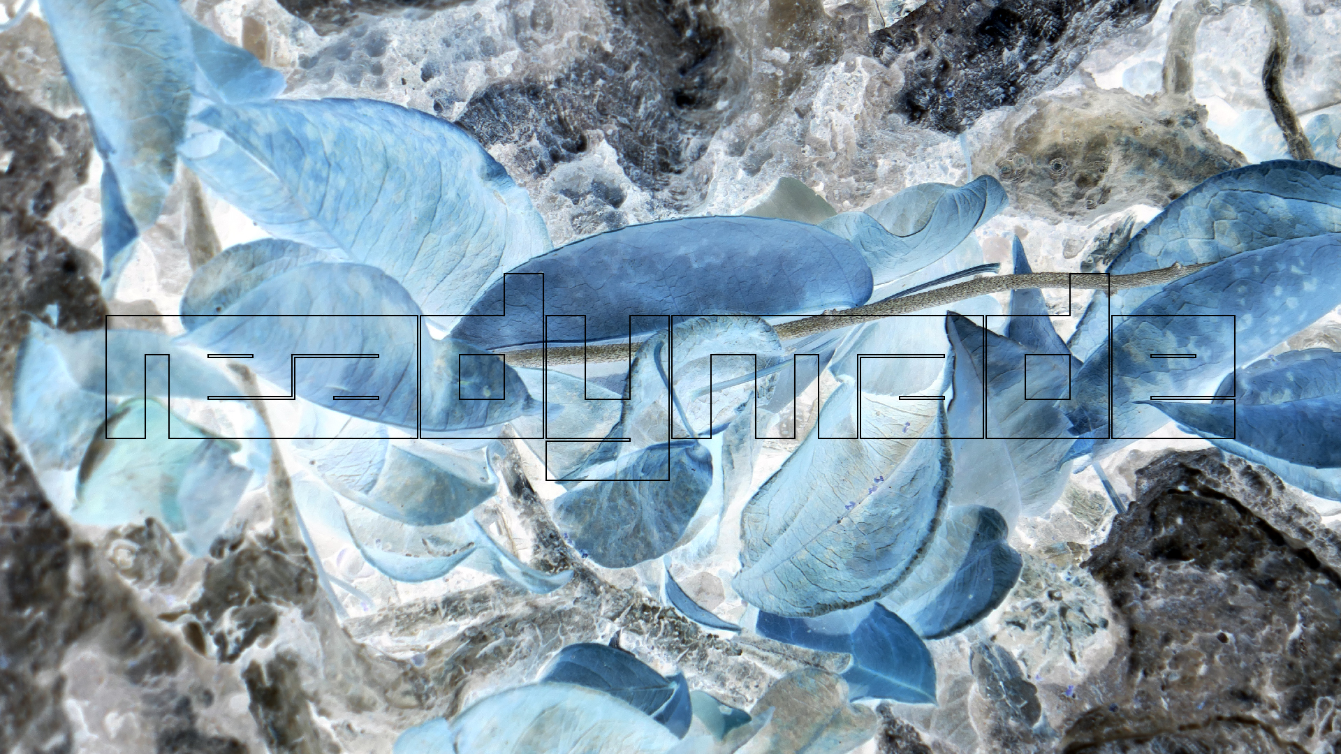 2022-04-22 Blaue Kammer (Foto)