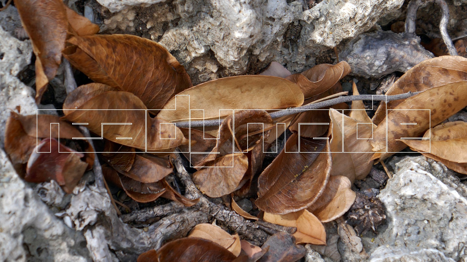 2022-04-22 Blaue Kammer (Foto)