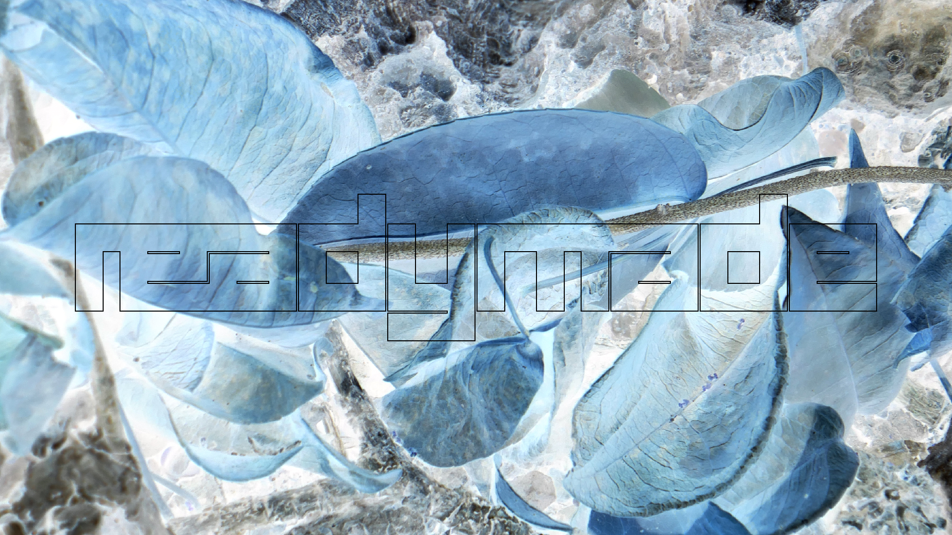 2022-04-22 Blaue Kammer (Foto)