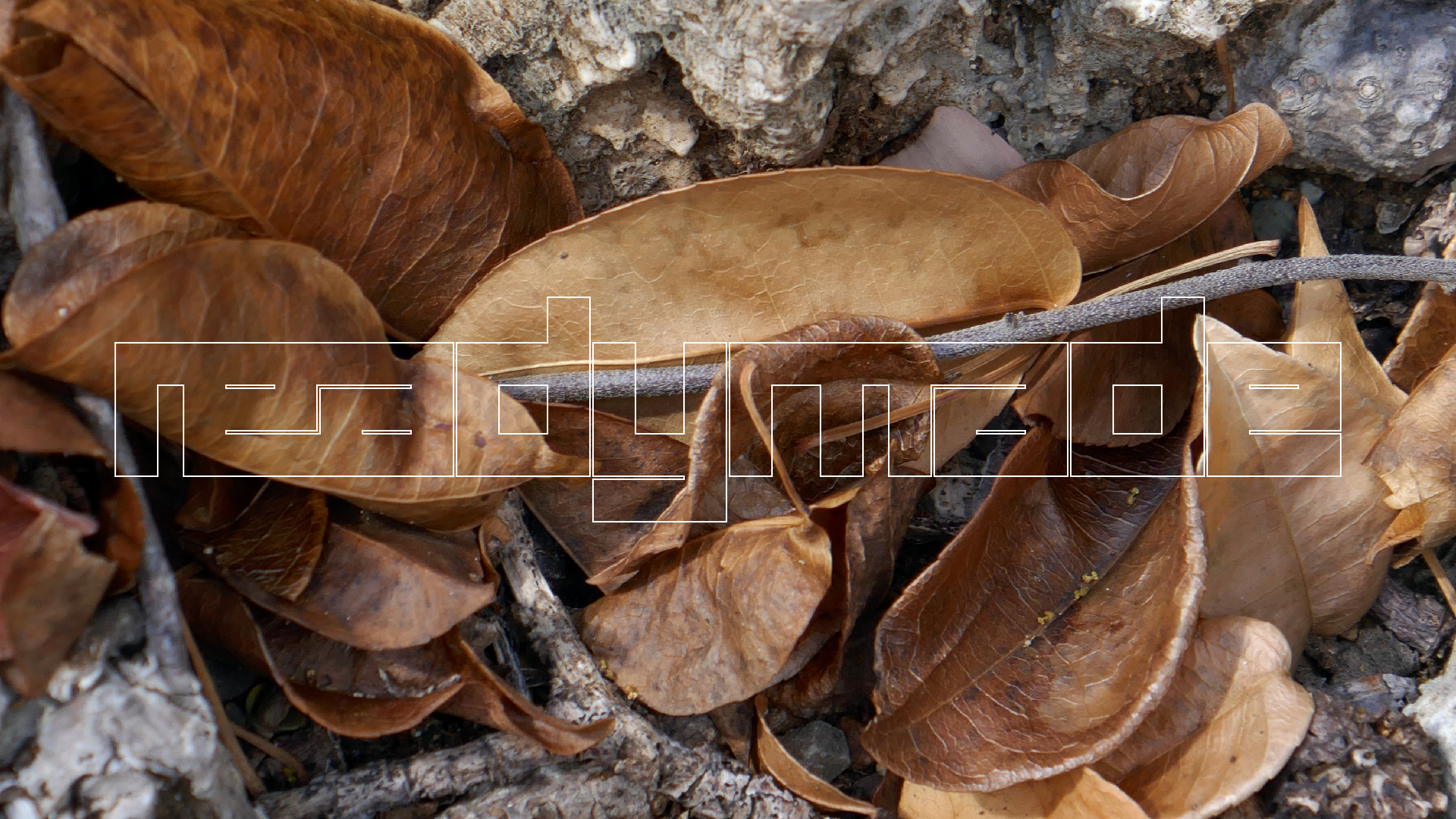 2022-04-22 Blaue Kammer (Foto)