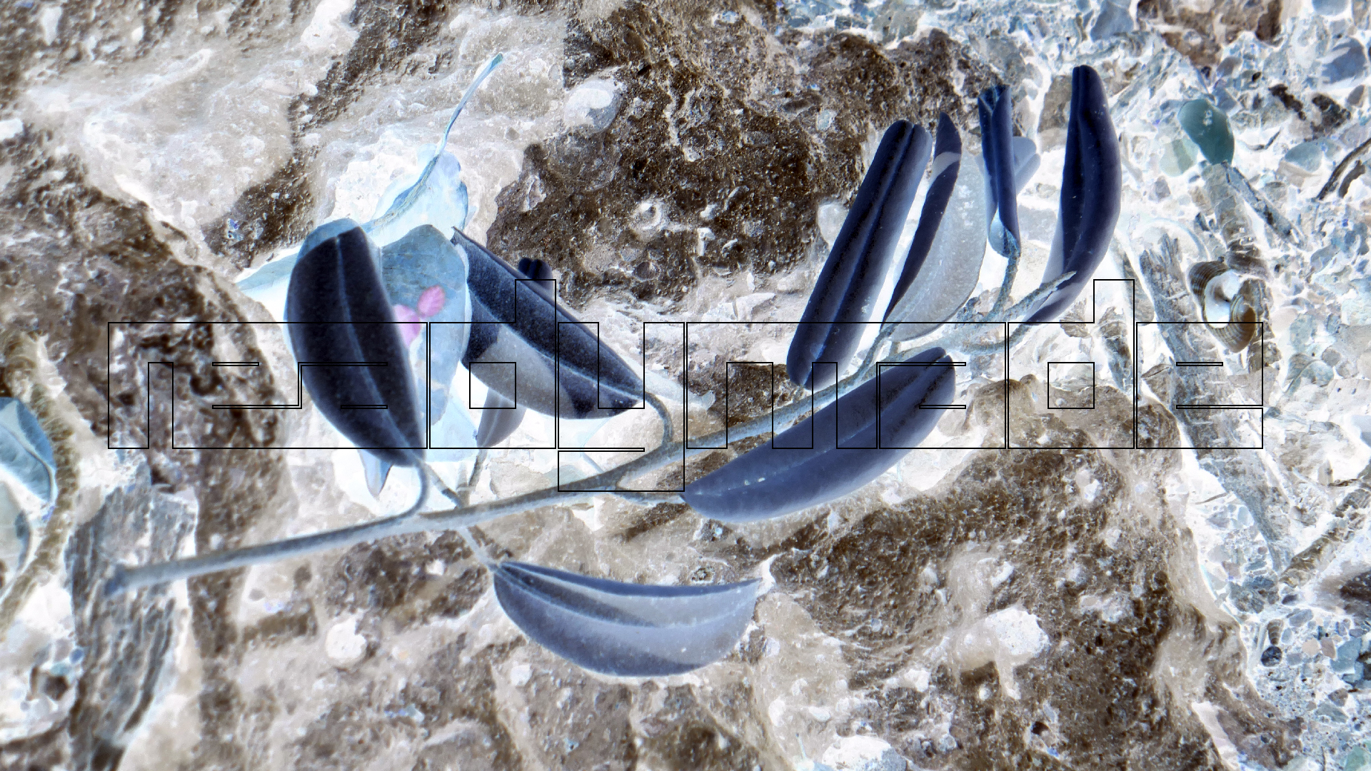 2022-04-22 Blaue Kammer (Foto)