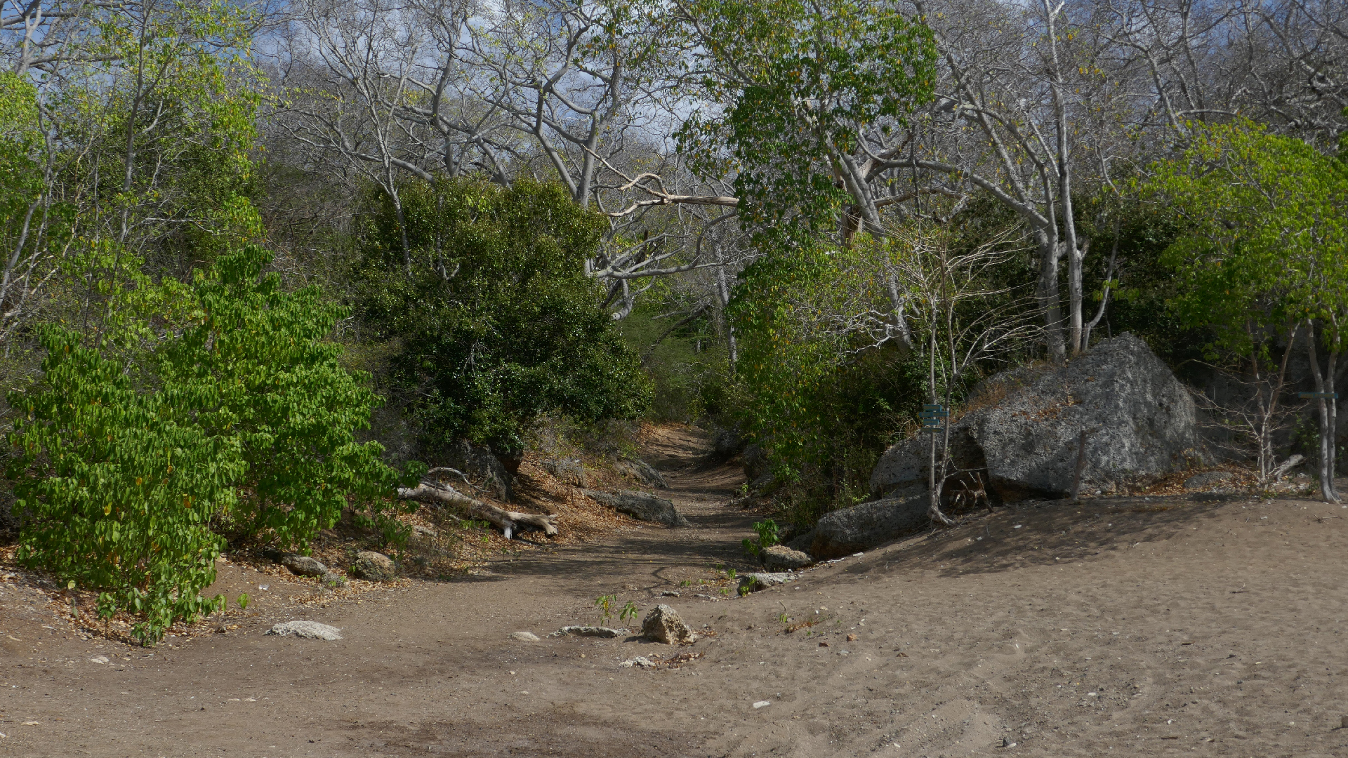 2022-04-22 Blaue Kammer (Foto)