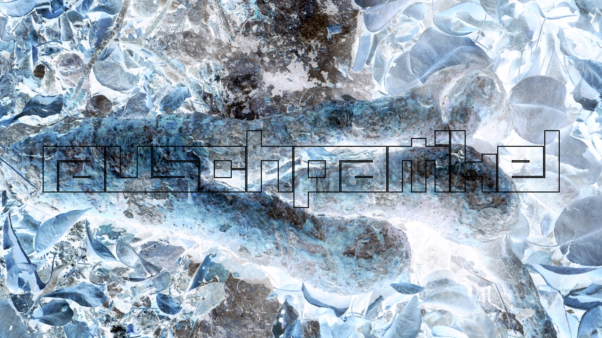 2022-04-22 Blaue Kammer (Foto)