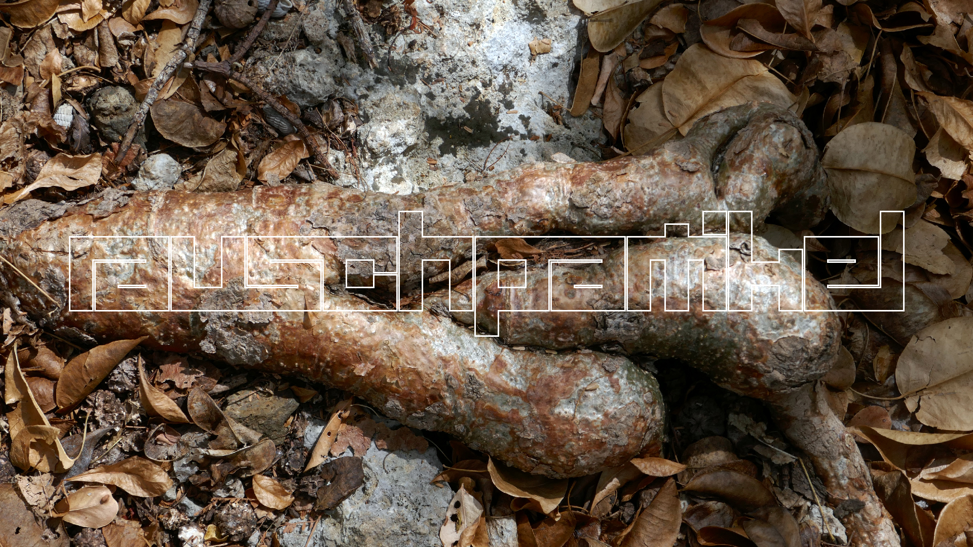 2022-04-22 Blaue Kammer (Foto)