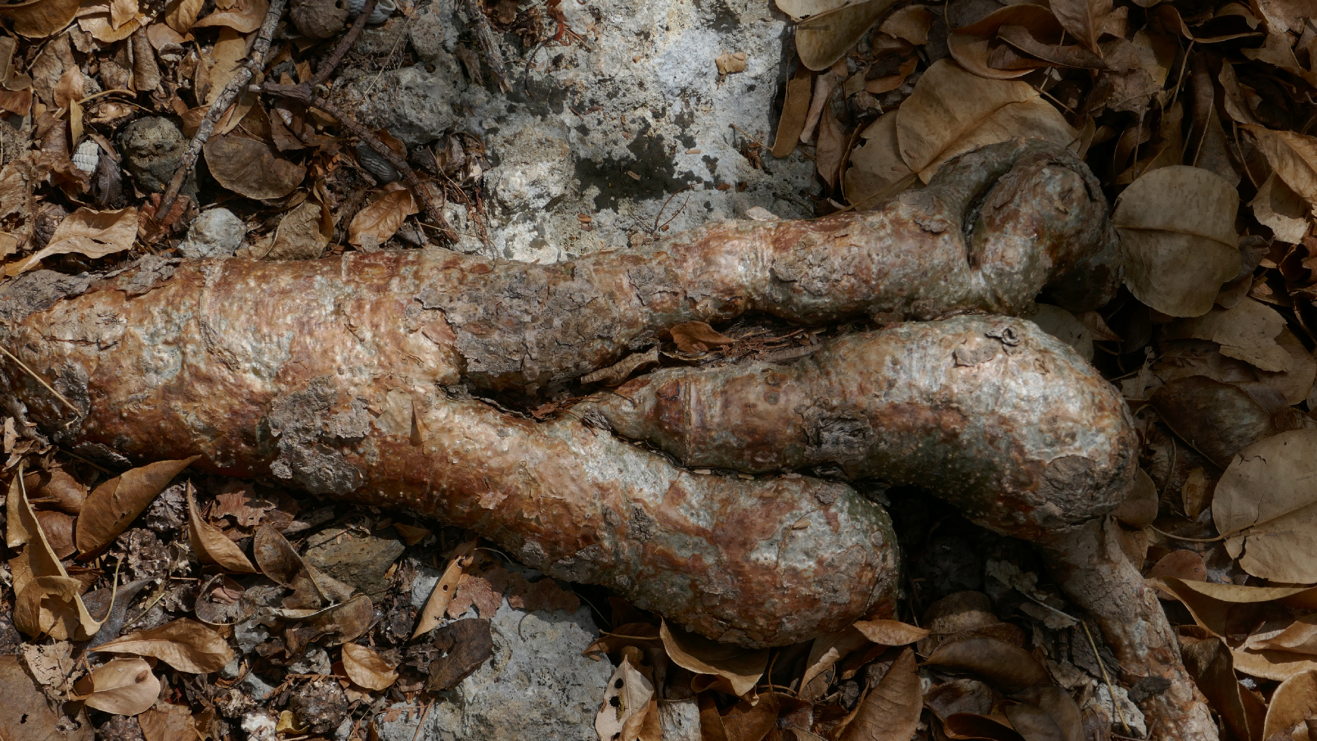 2022-04-22 Blaue Kammer (Foto)