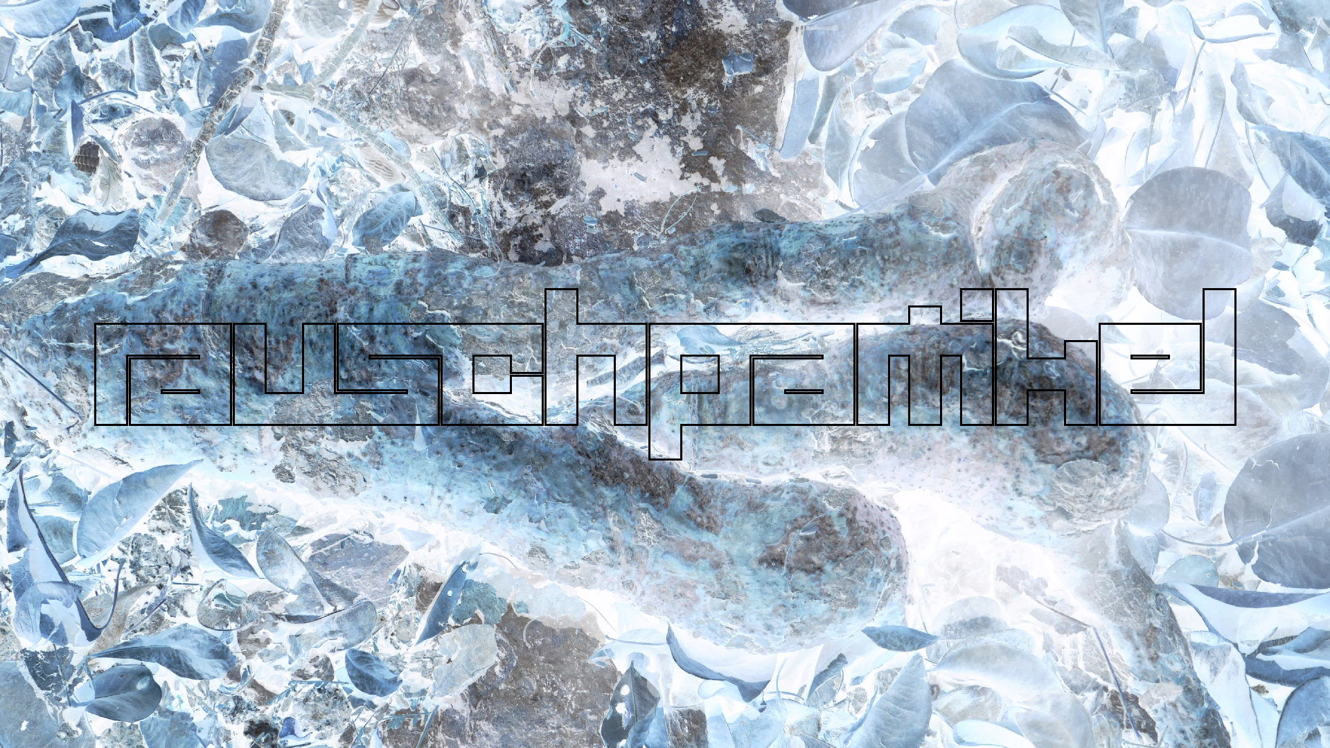 2022-04-22 Blaue Kammer (Foto)