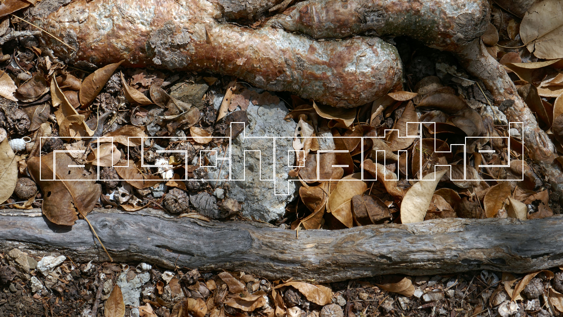 2022-04-22 Blaue Kammer (Foto)