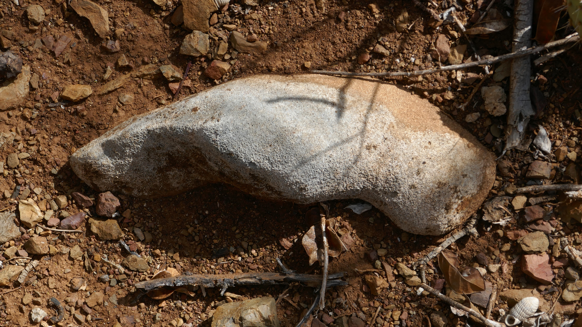 2022-04-22 Blaue Kammer (Foto)