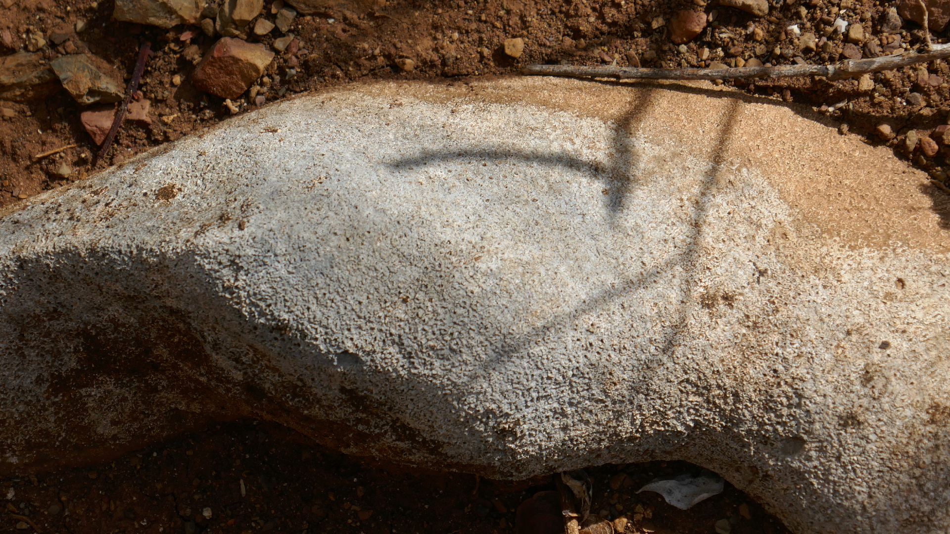 2022-04-22 Blaue Kammer (Foto)