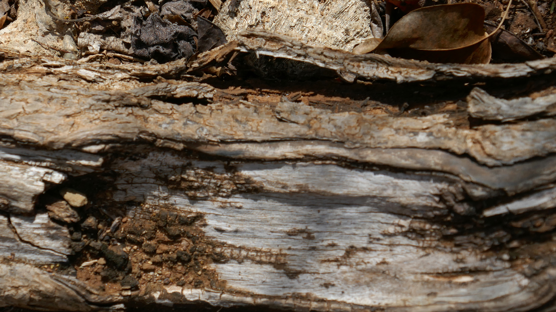 2022-04-22 Blaue Kammer (Foto)