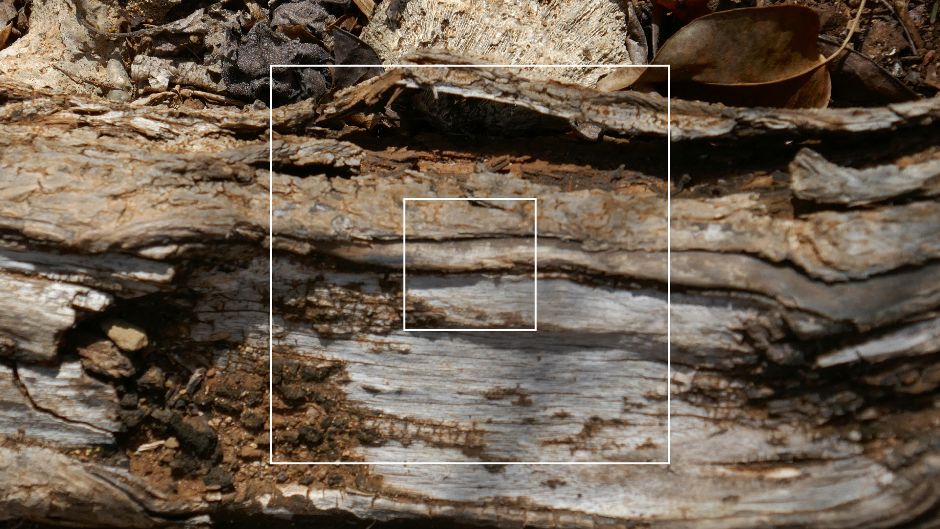 2022-04-22 Blaue Kammer (Foto)