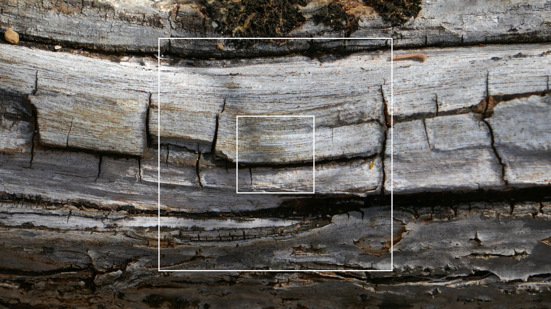 2022-04-22 Blaue Kammer (Foto)