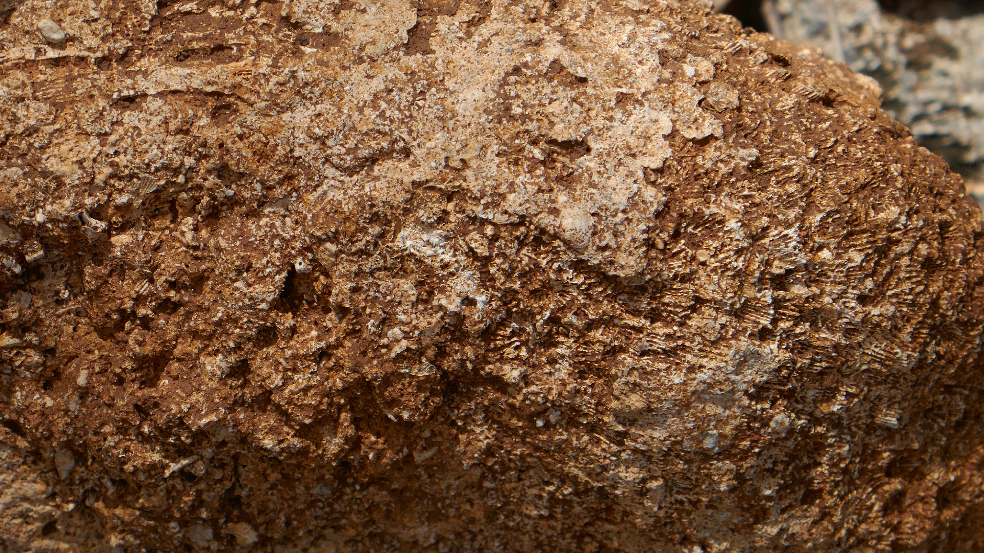 2022-04-22 Blaue Kammer (Foto)