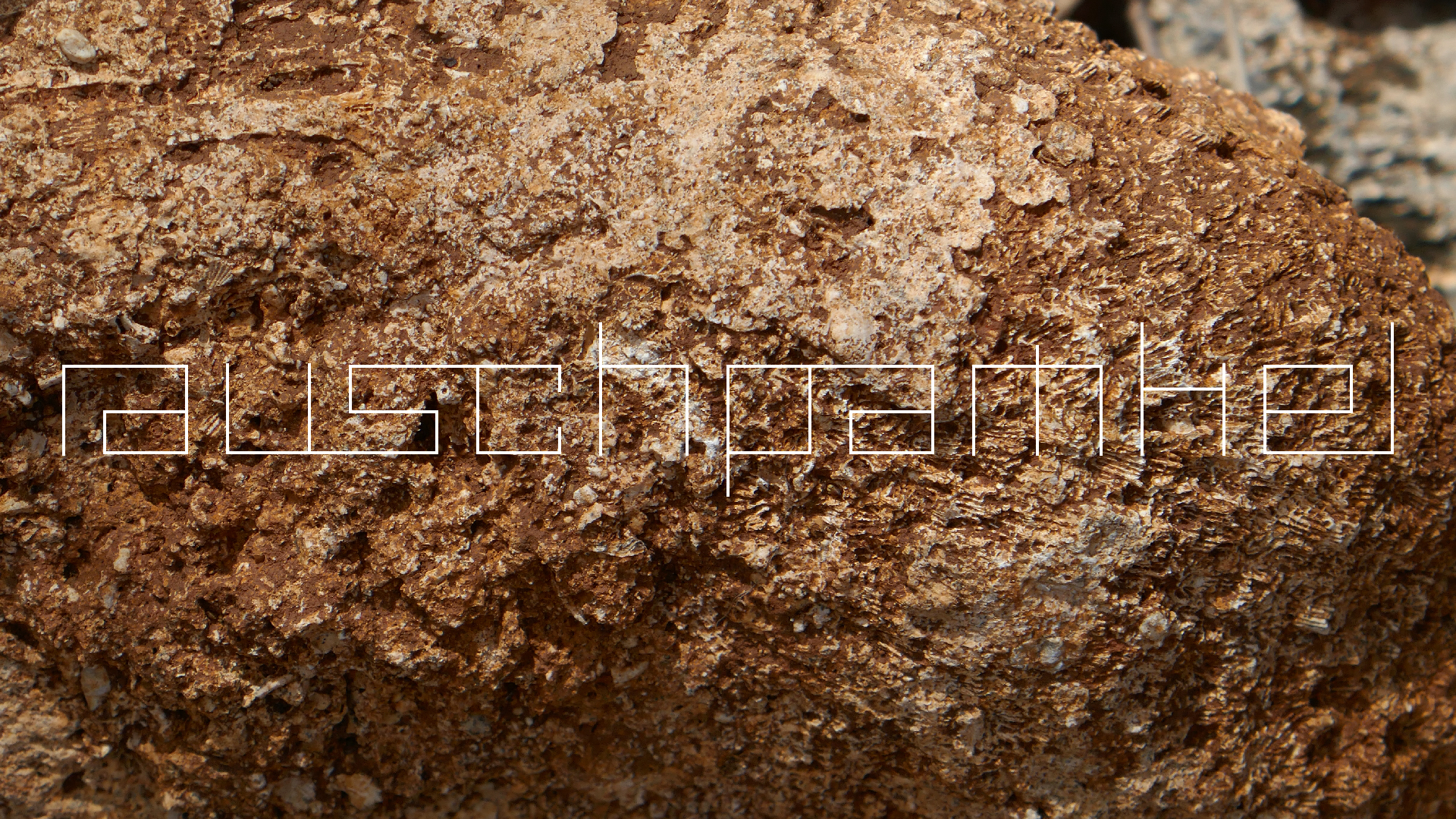 2022-04-22 Blaue Kammer (Foto)