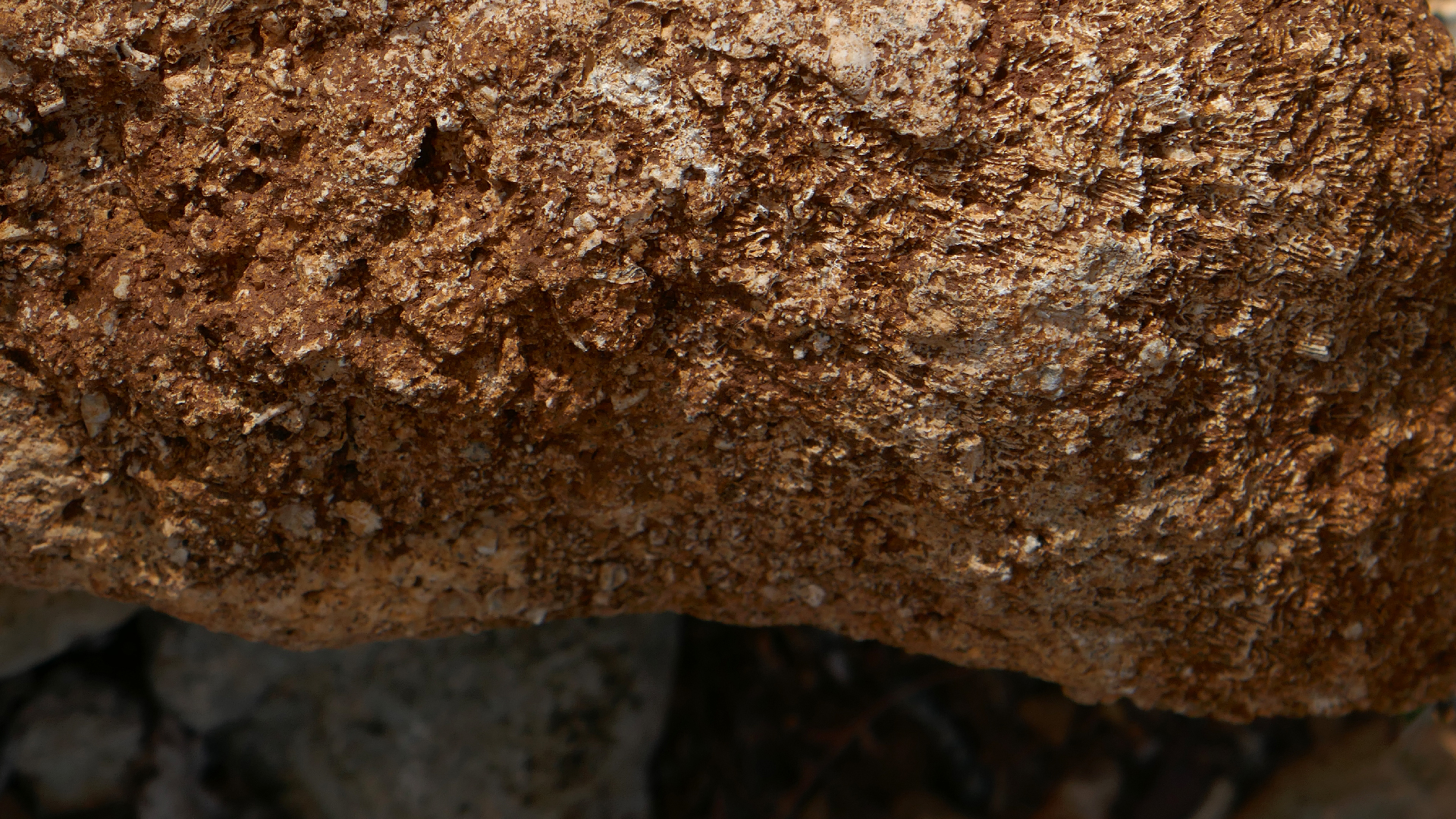 2022-04-22 Blaue Kammer (Foto)