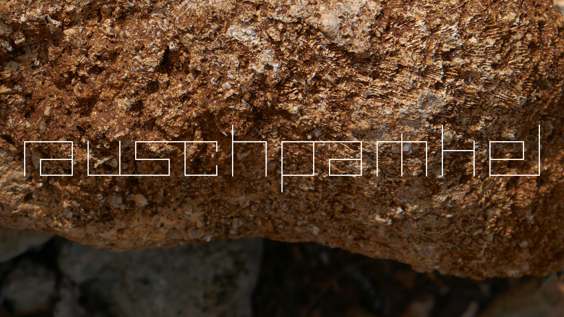 2022-04-22 Blaue Kammer (Foto)