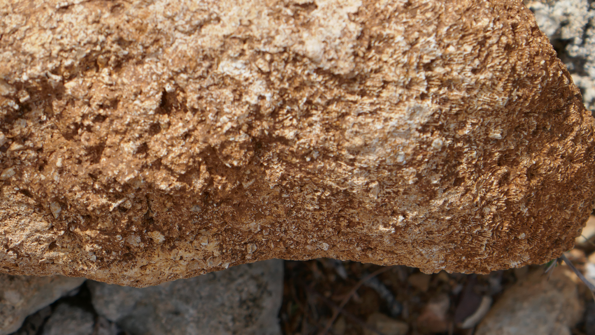 2022-04-22 Blaue Kammer (Foto)