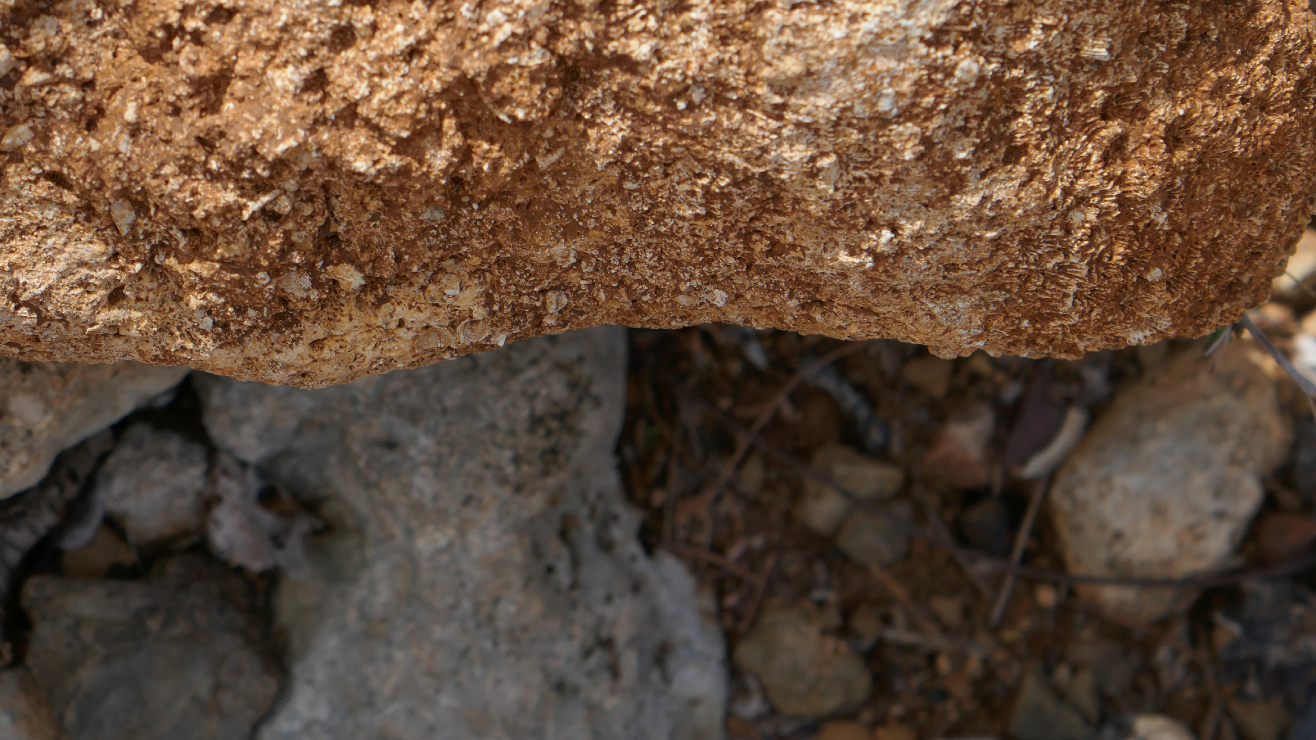 2022-04-22 Blaue Kammer (Foto)