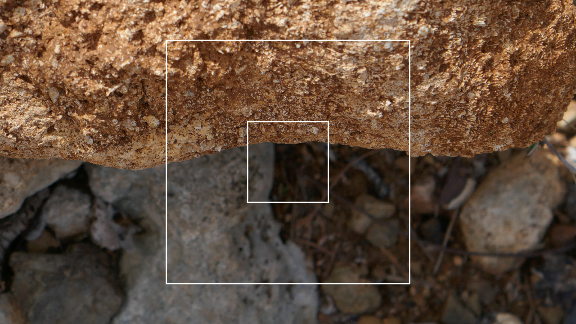 2022-04-22 Blaue Kammer (Foto)