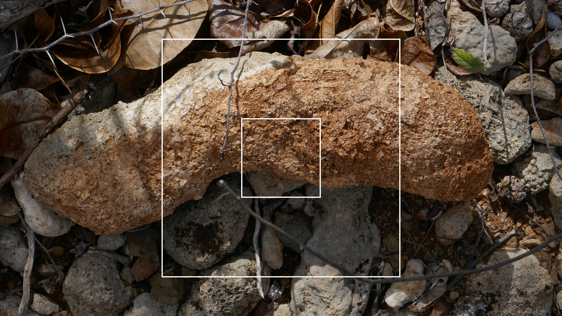 2022-04-22 Blaue Kammer (Foto)