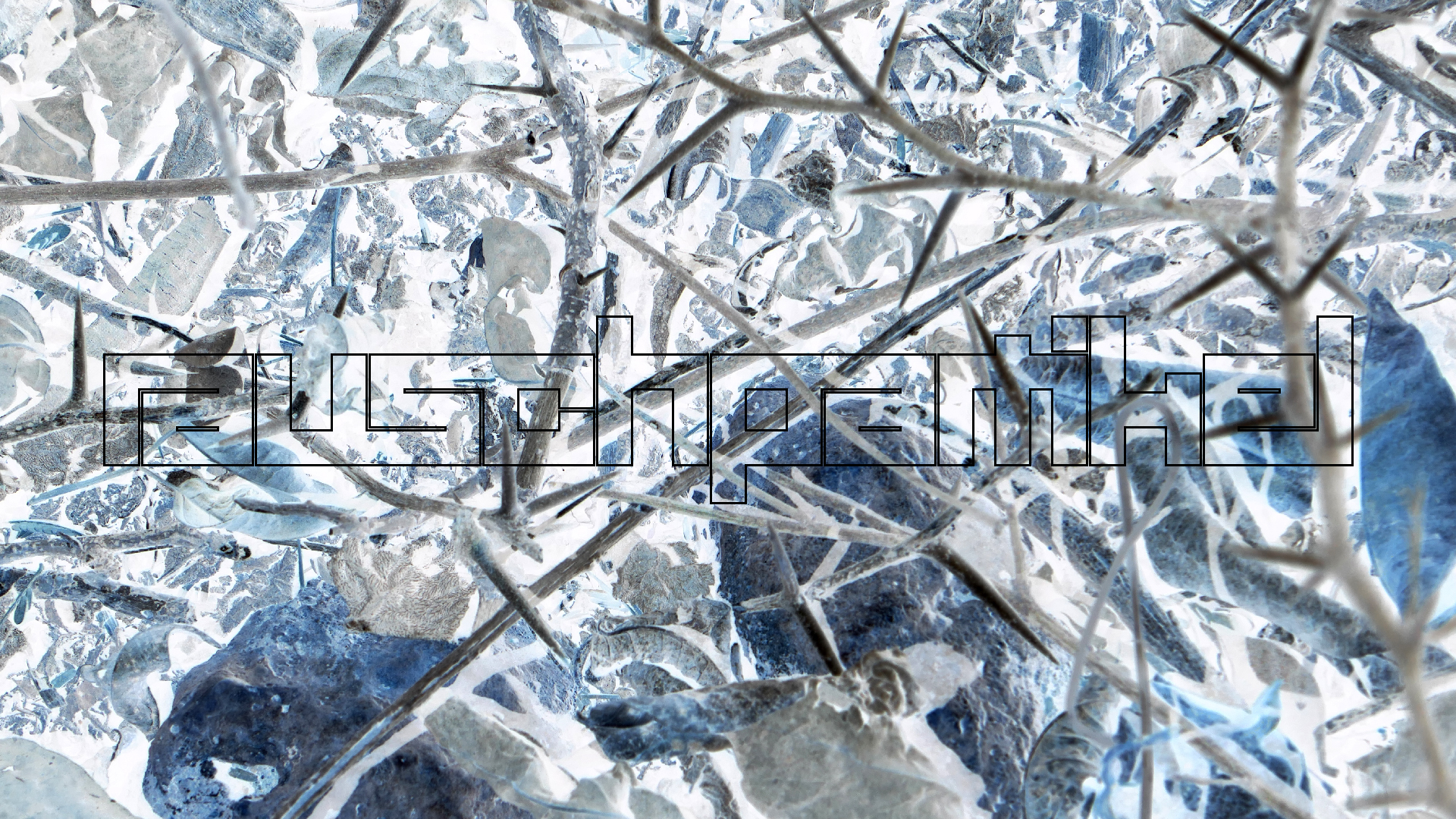 2022-04-22 Blaue Kammer (Foto)