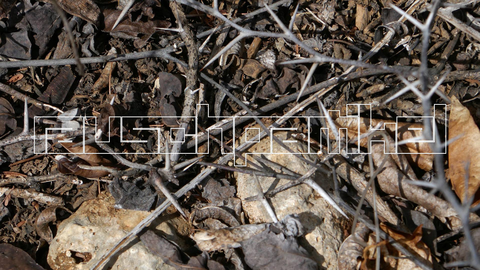 2022-04-22 Blaue Kammer (Foto)