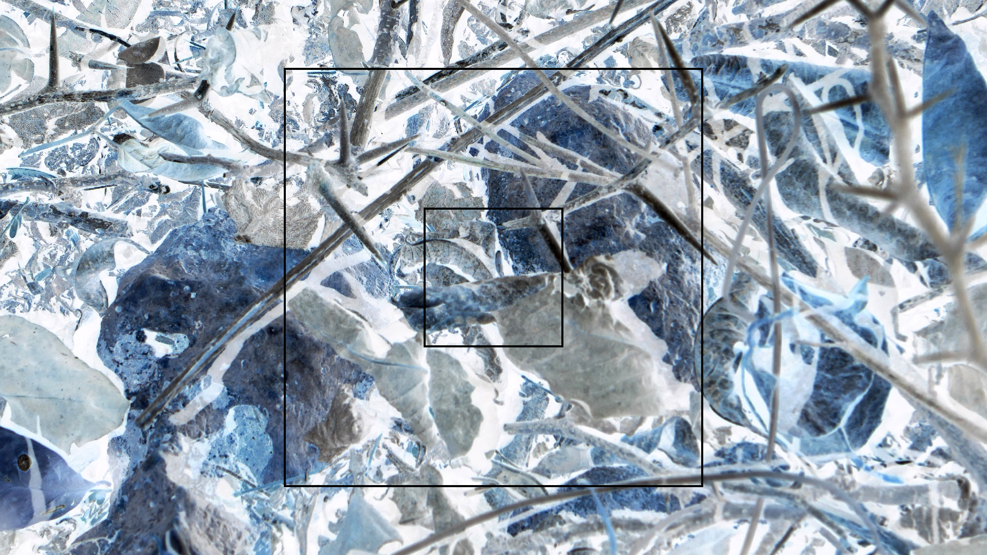 2022-04-22 Blaue Kammer (Foto)