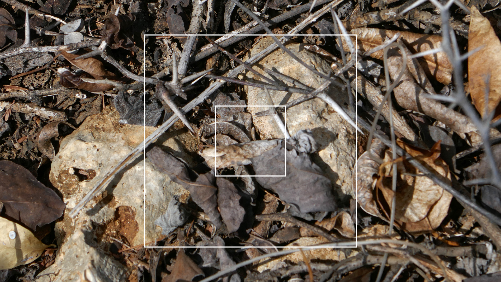 2022-04-22 Blaue Kammer (Foto)