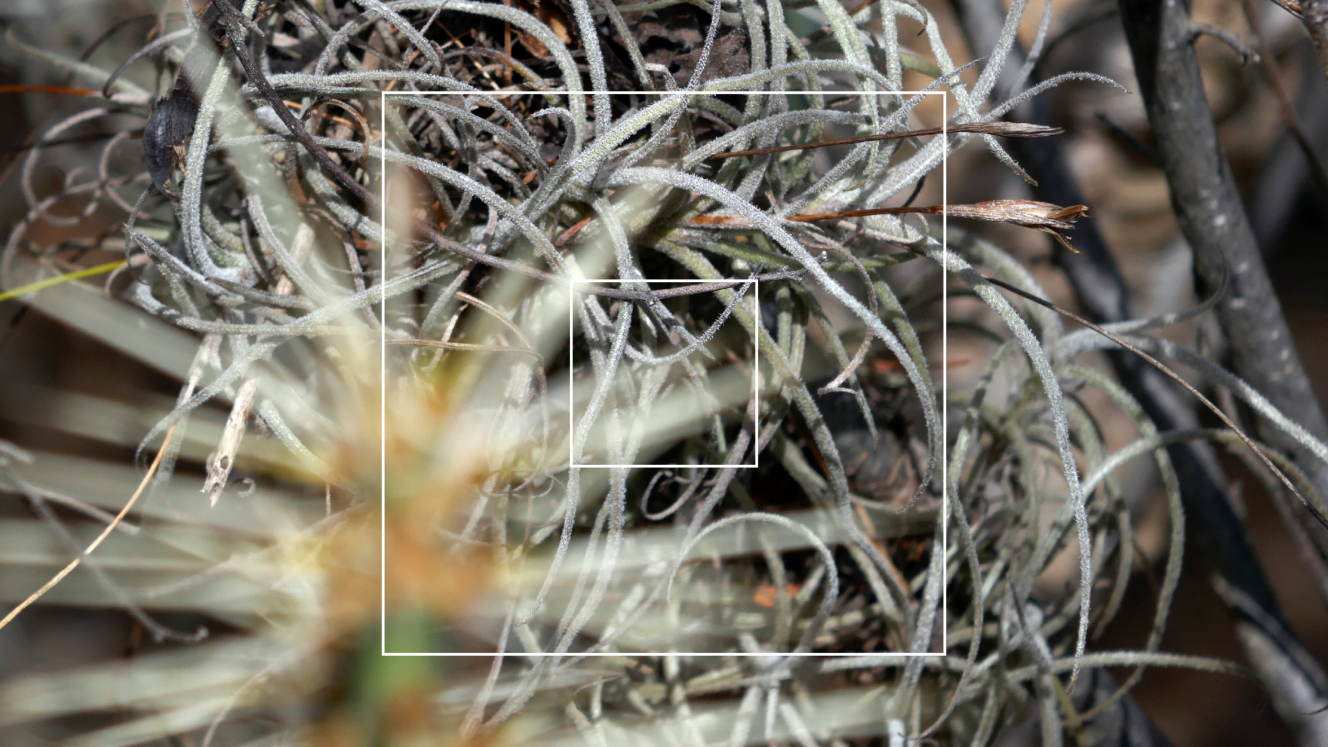 2022-04-22 Blaue Kammer (Foto)