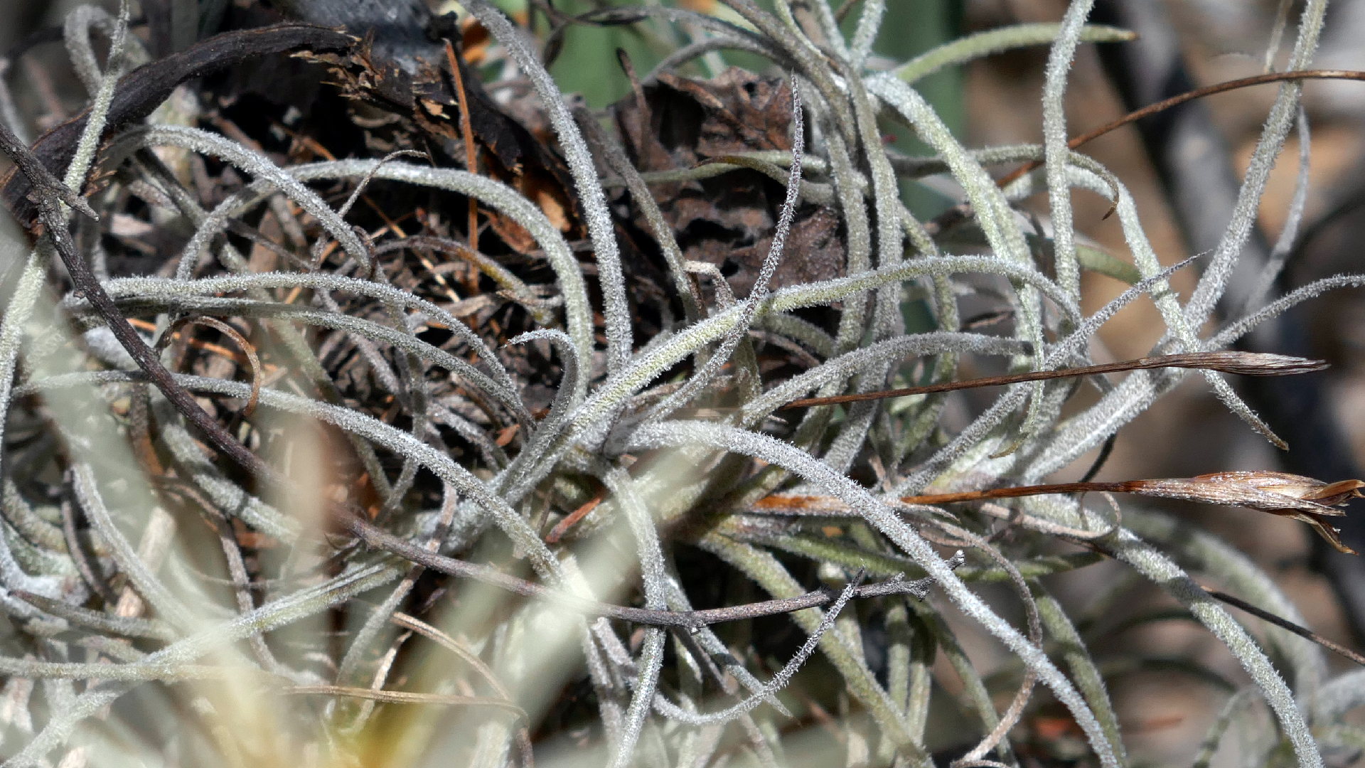 2022-04-22 Blaue Kammer (Foto)