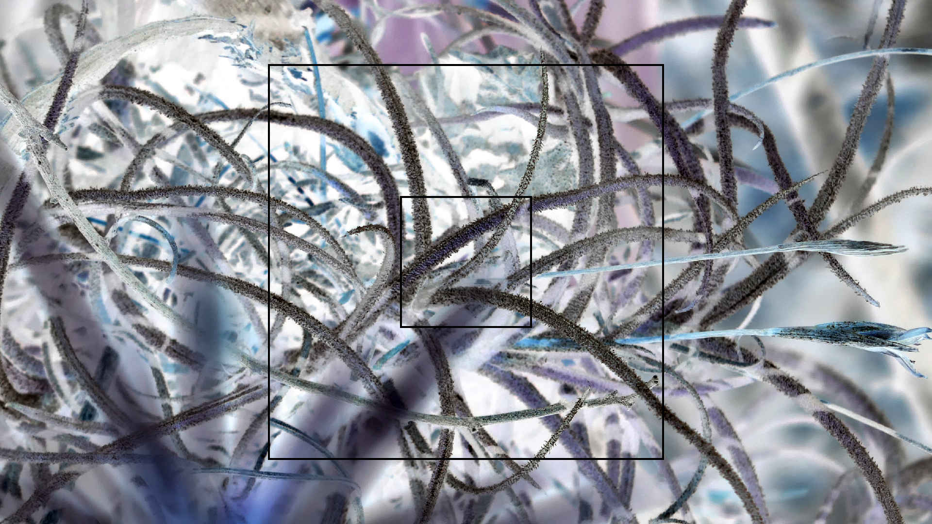 2022-04-22 Blaue Kammer (Foto)