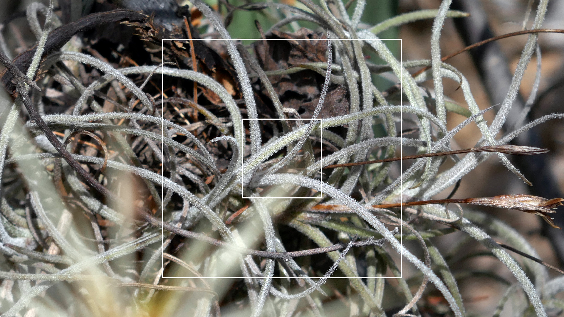 2022-04-22 Blaue Kammer (Foto)