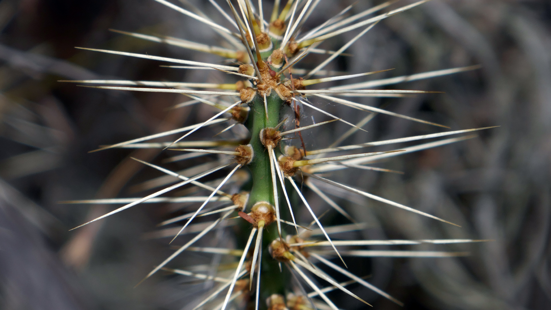 2022-04-22 Blaue Kammer (Foto)