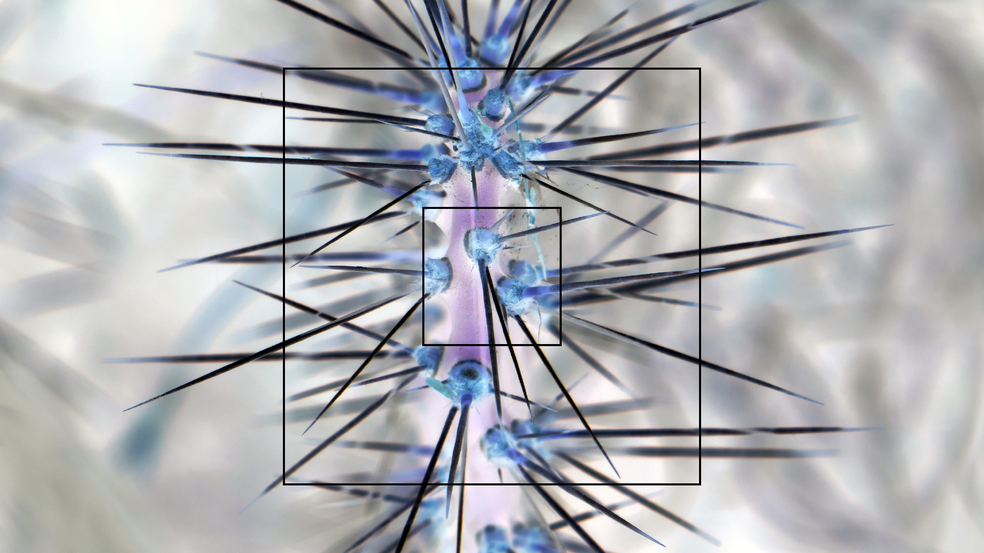 2022-04-22 Blaue Kammer (Foto)