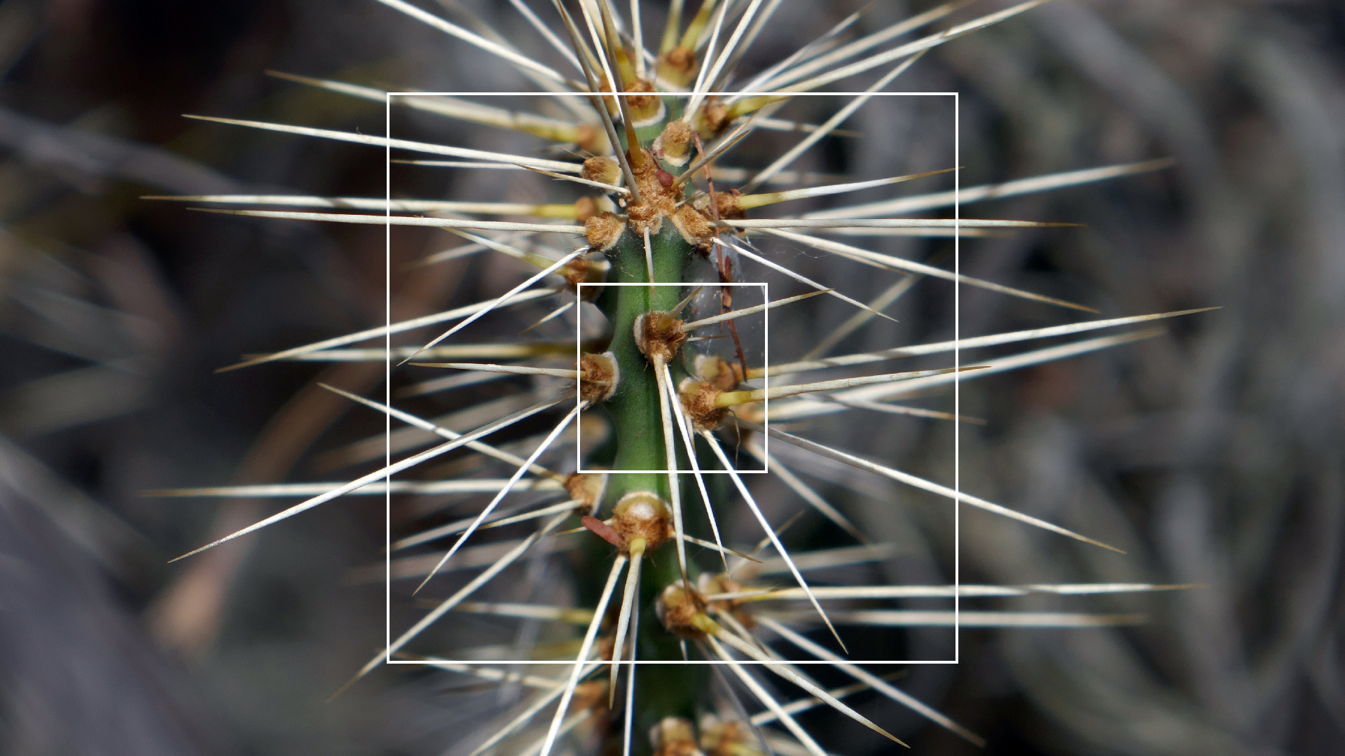 2022-04-22 Blaue Kammer (Foto)