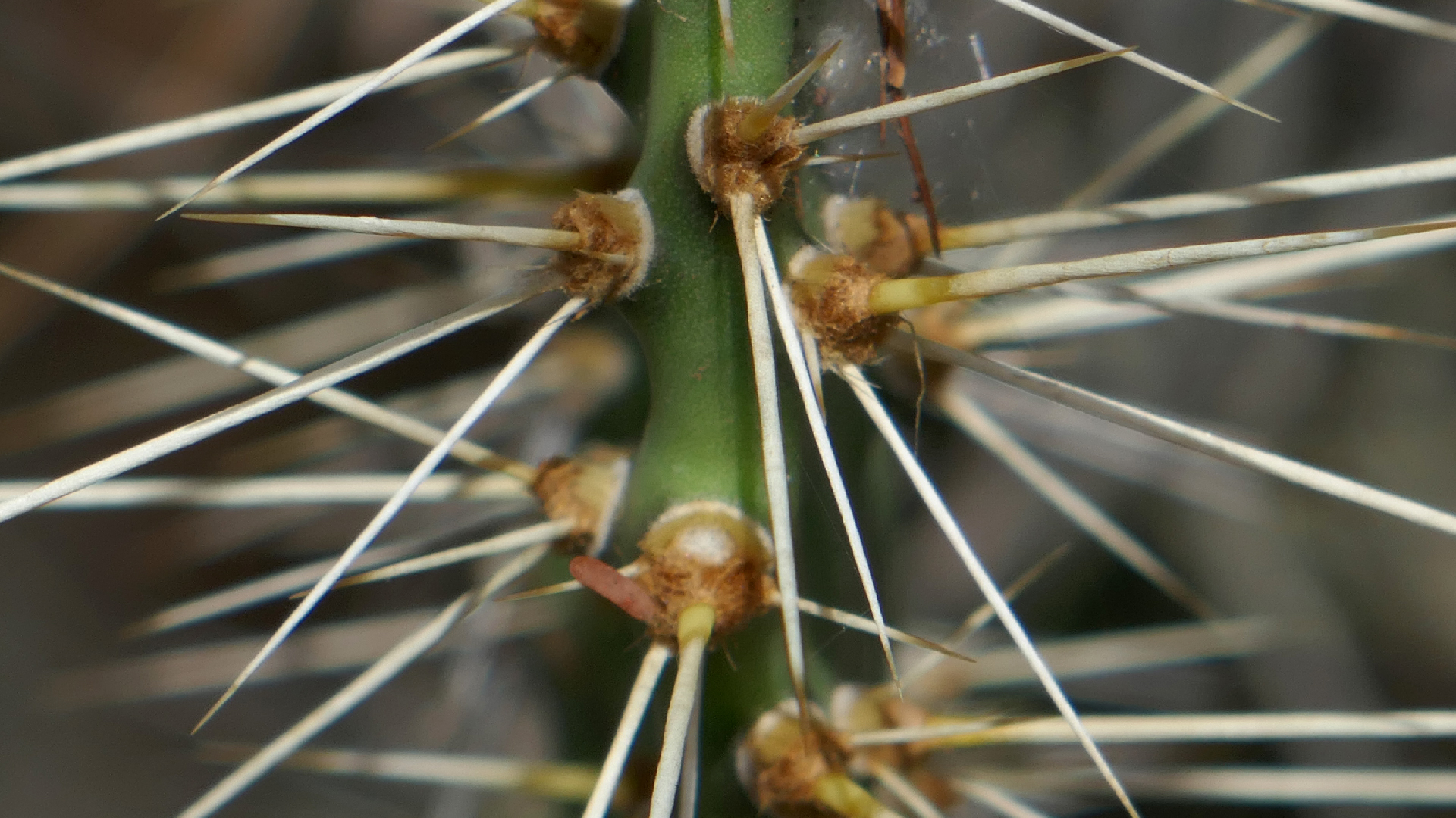 2022-04-22 Blaue Kammer (Foto)