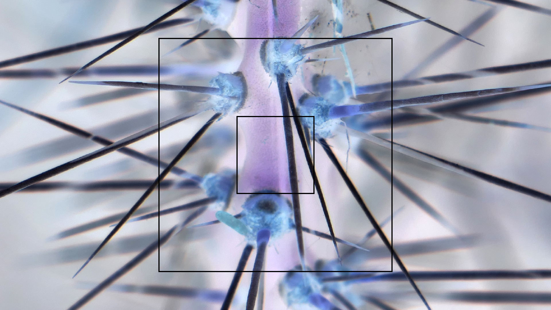 2022-04-22 Blaue Kammer (Foto)