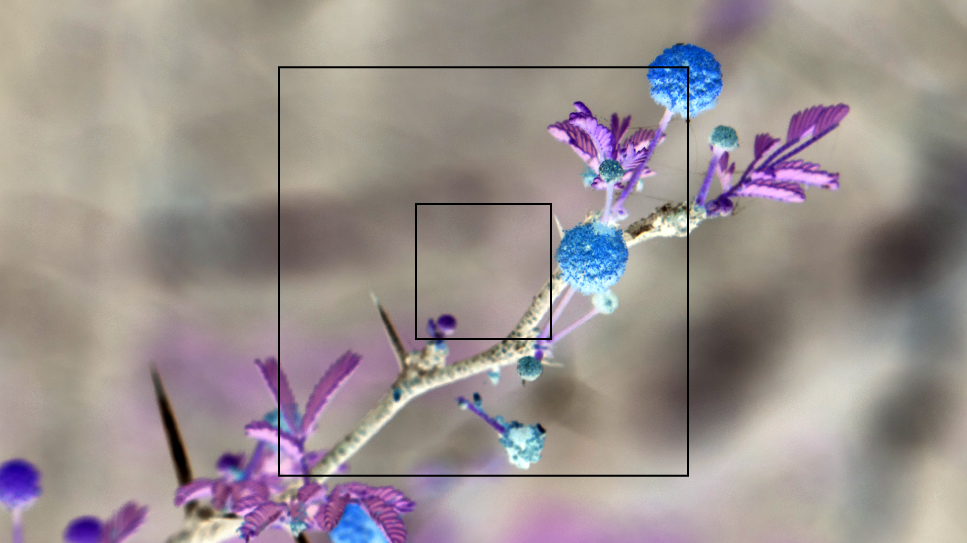 2022-04-22 Blaue Kammer (Foto)