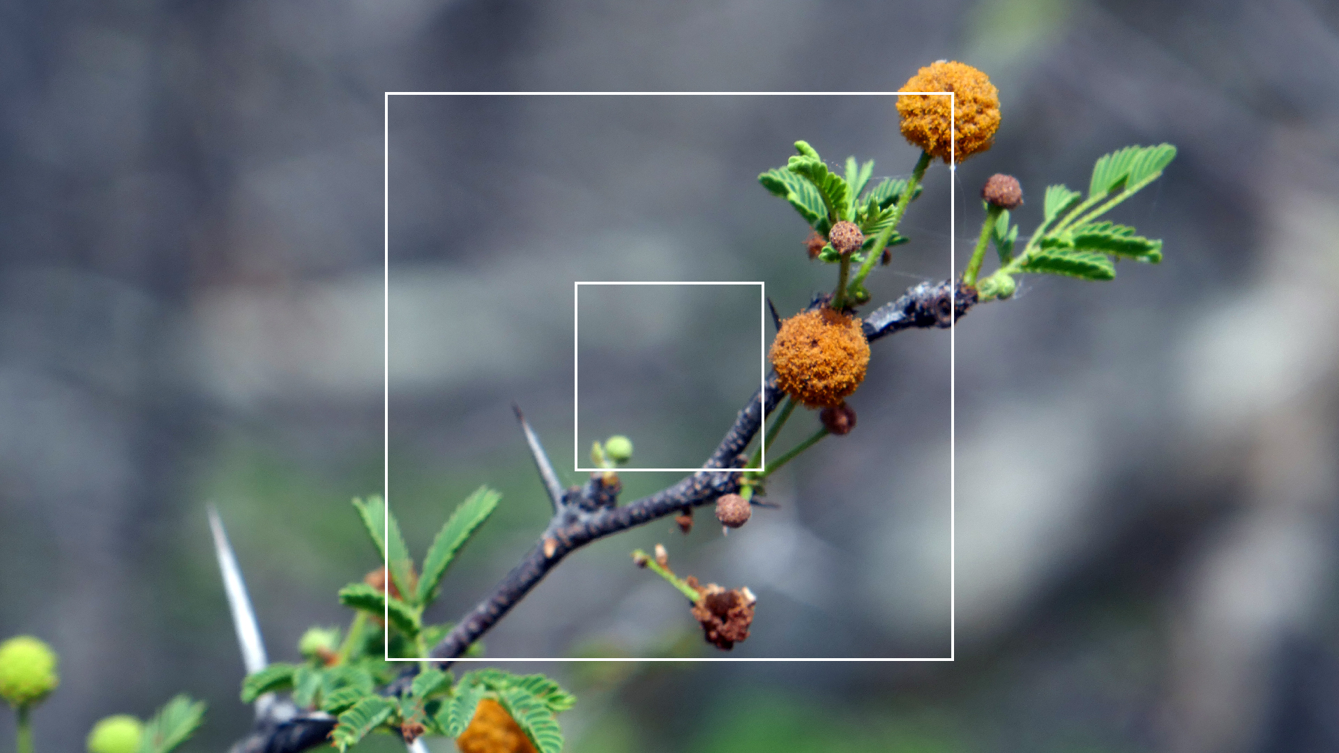 2022-04-22 Blaue Kammer (Foto)