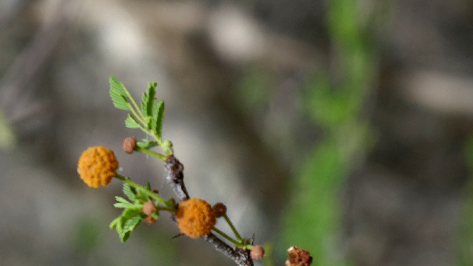 2022-04-22 Blaue Kammer (Foto)