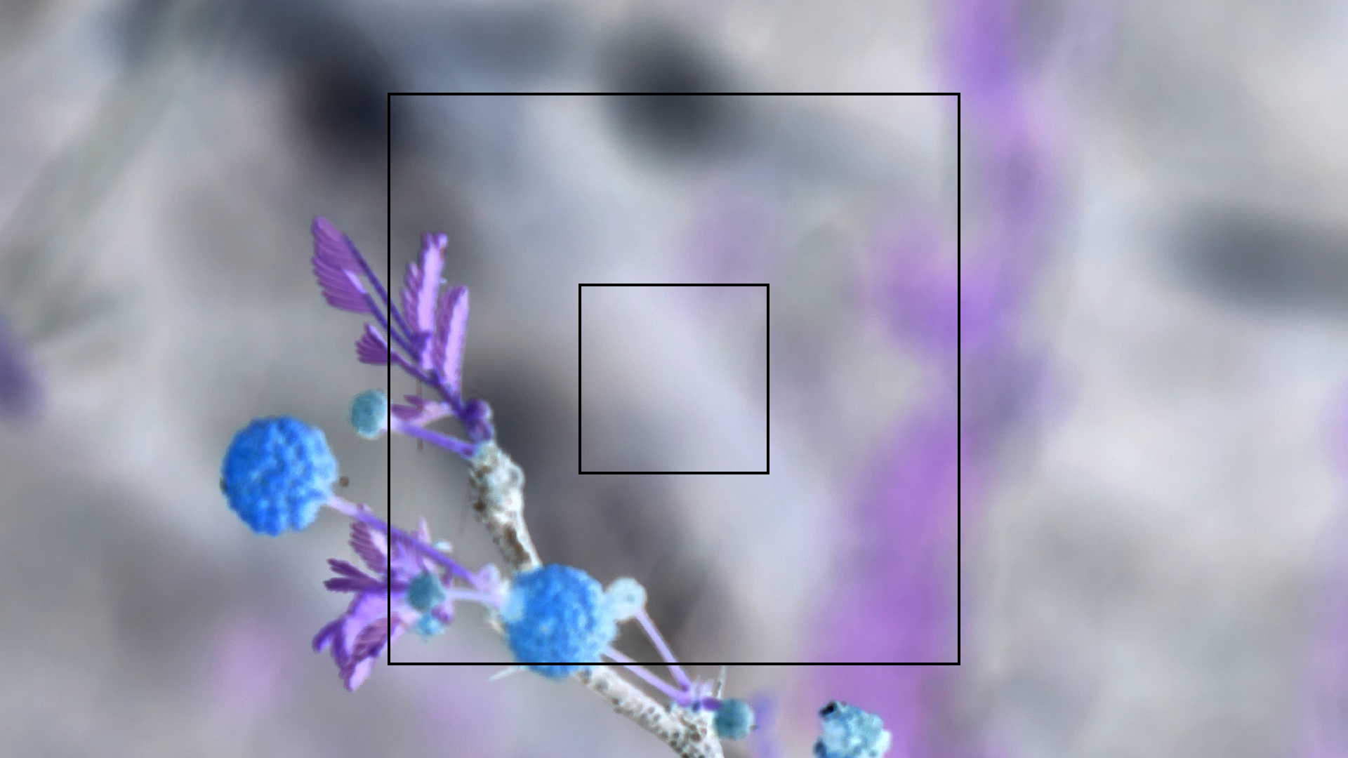 2022-04-22 Blaue Kammer (Foto)