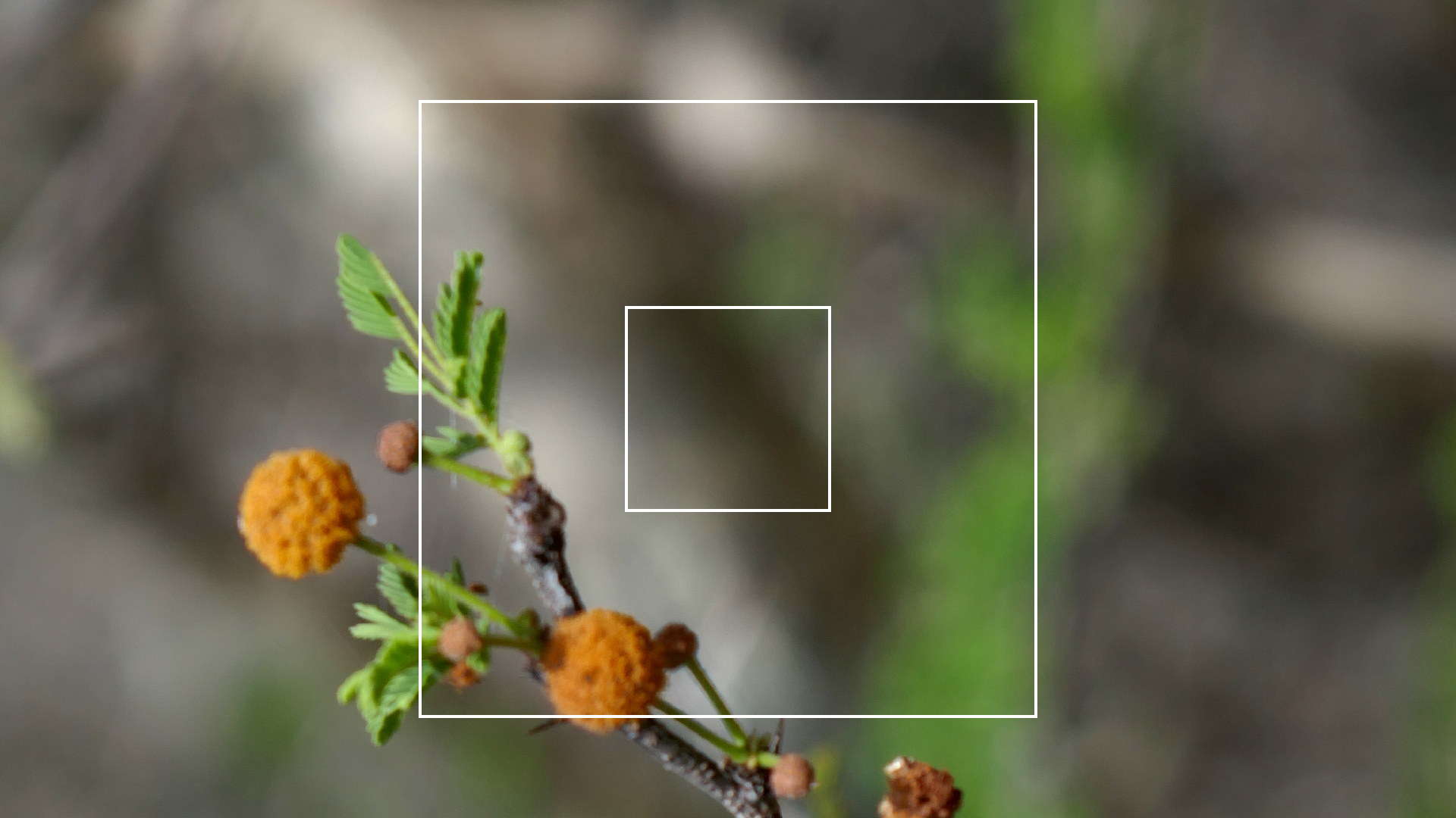 2022-04-22 Blaue Kammer (Foto)