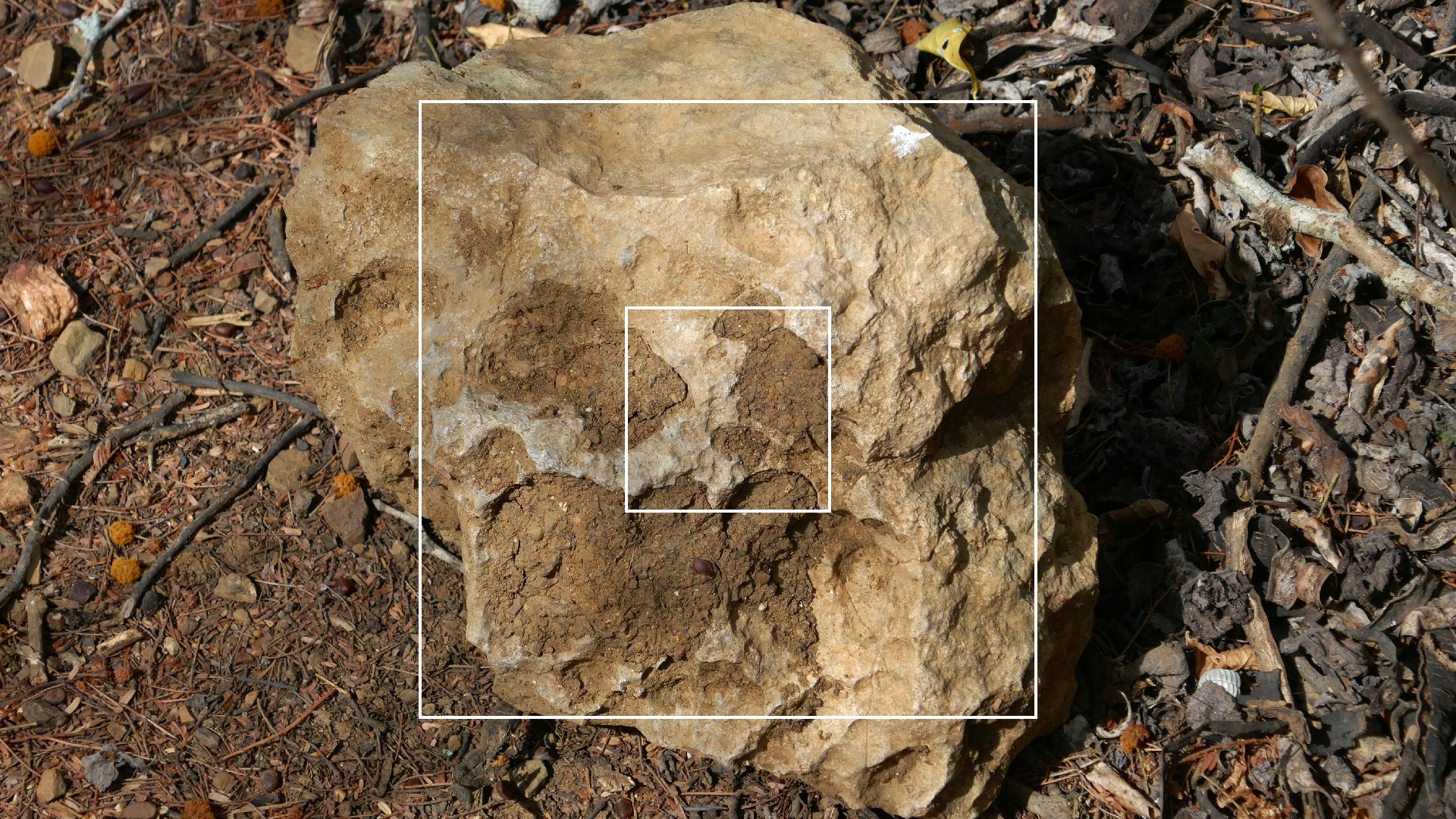 2022-04-22 Blaue Kammer (Foto)