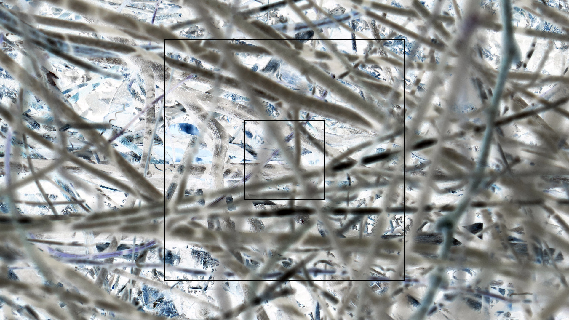 2022-04-22 Blaue Kammer (Foto)