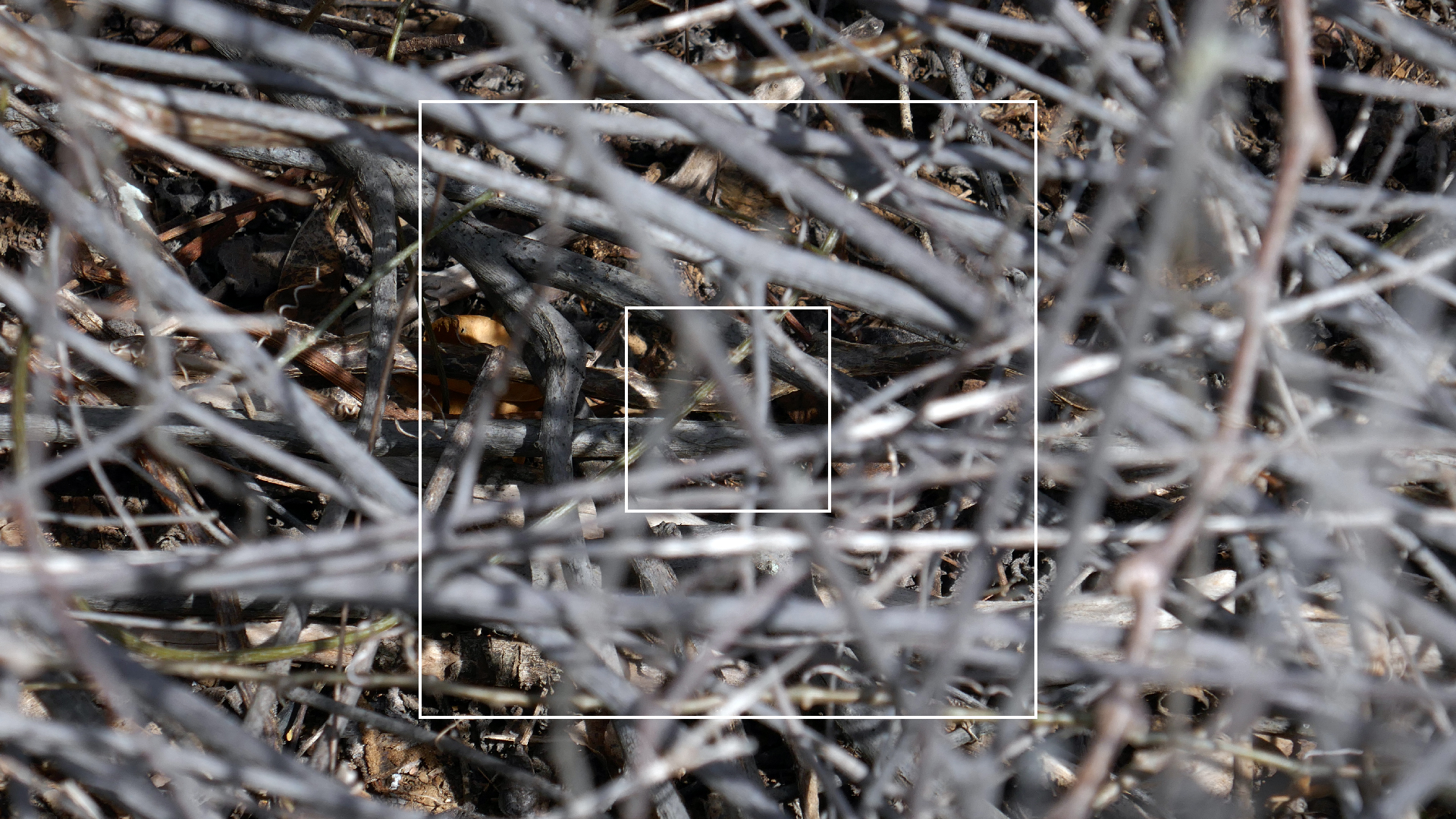 2022-04-22 Blaue Kammer (Foto)