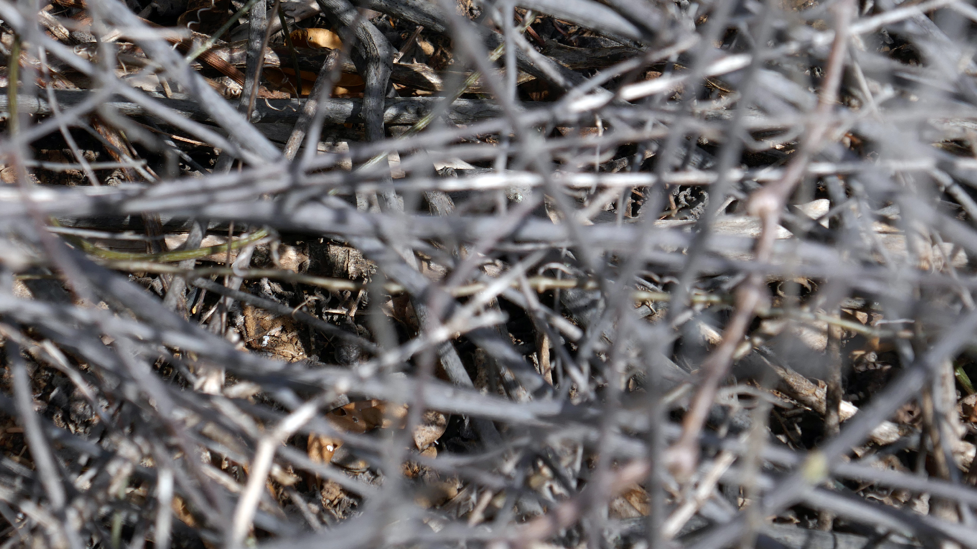 2022-04-22 Blaue Kammer (Foto)