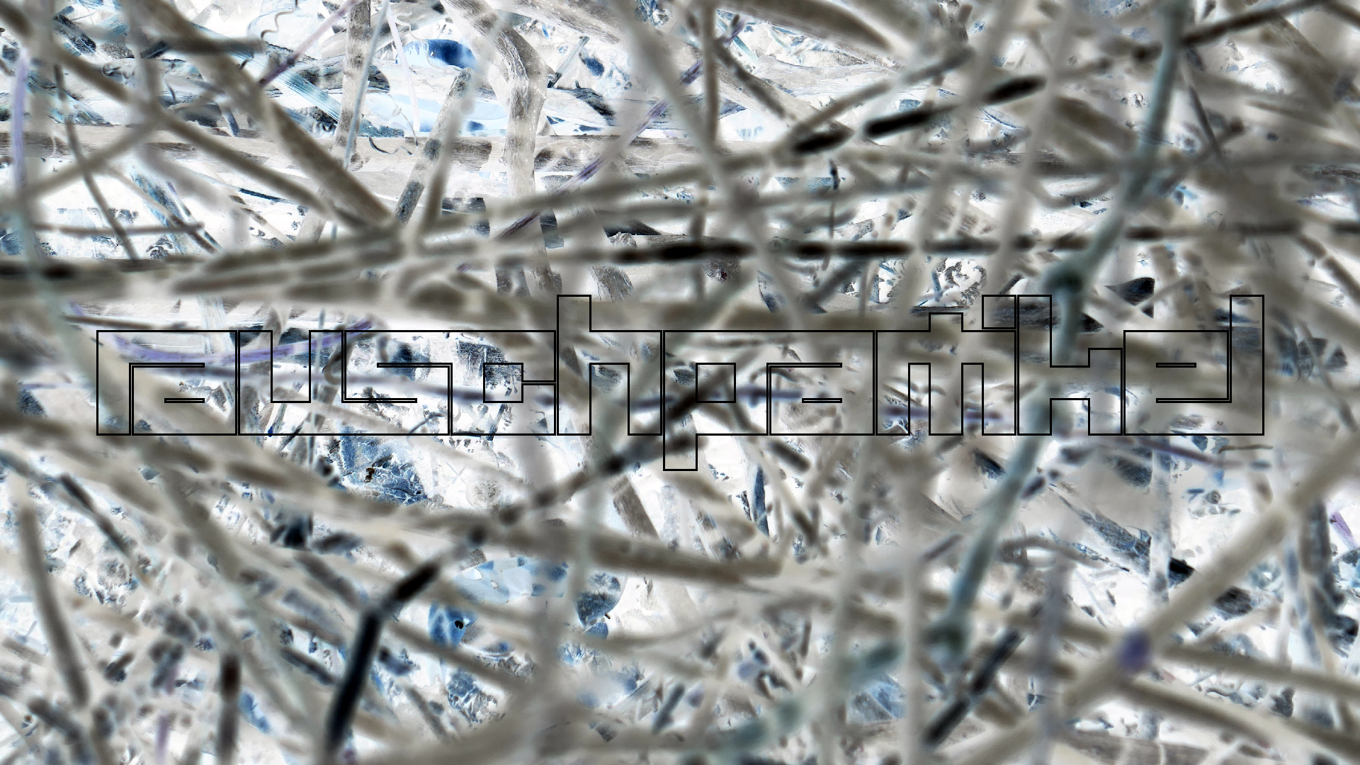 2022-04-22 Blaue Kammer (Foto)